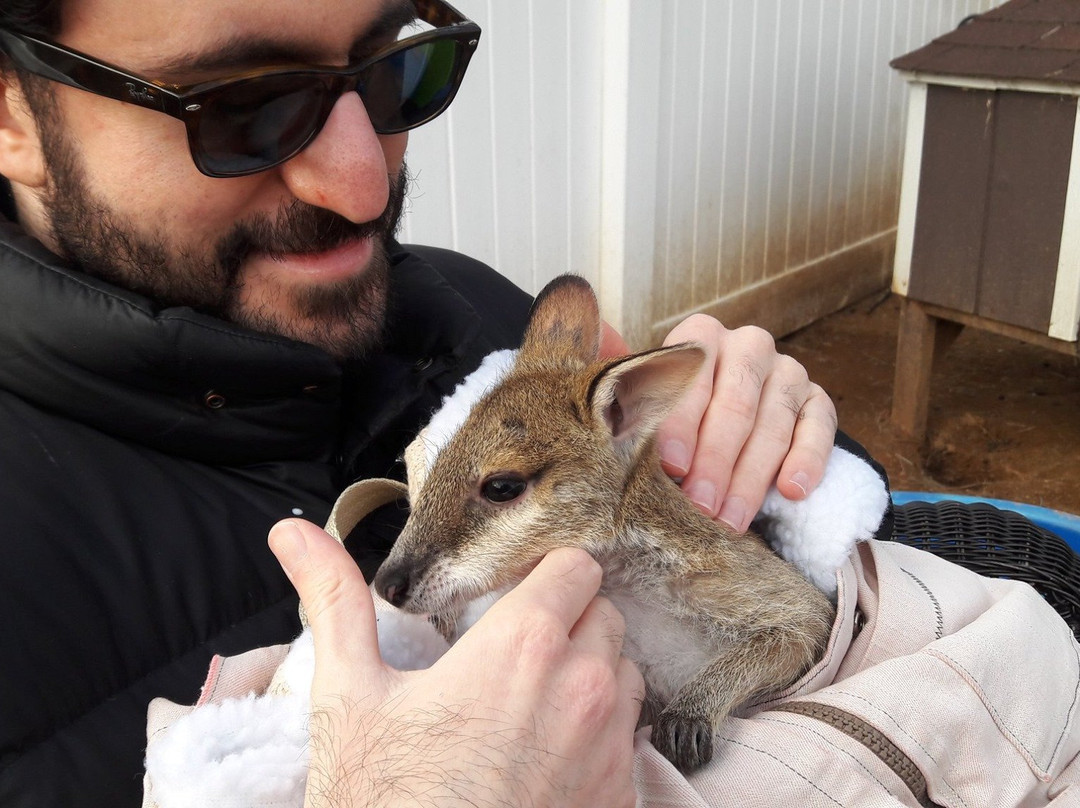 Roos2u-Germantown必去景点