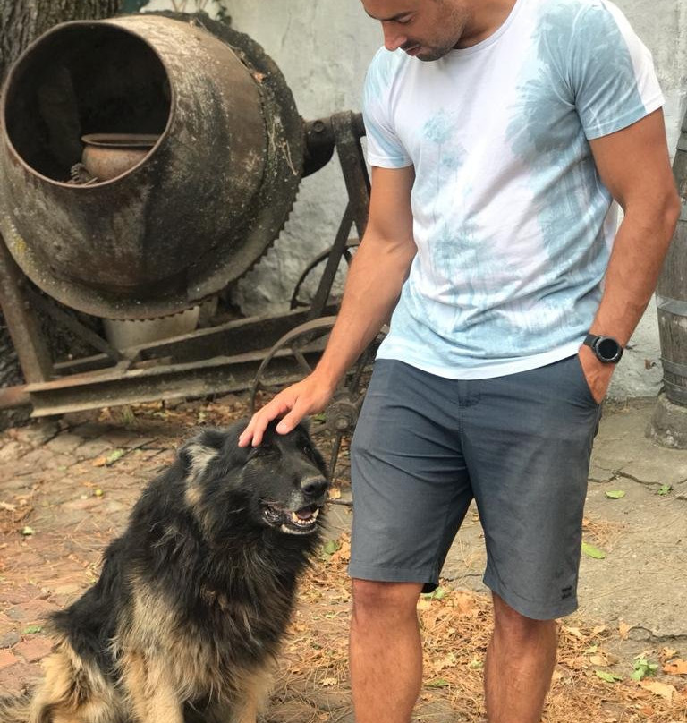 Upland Organic Wine-惠灵顿必去景点