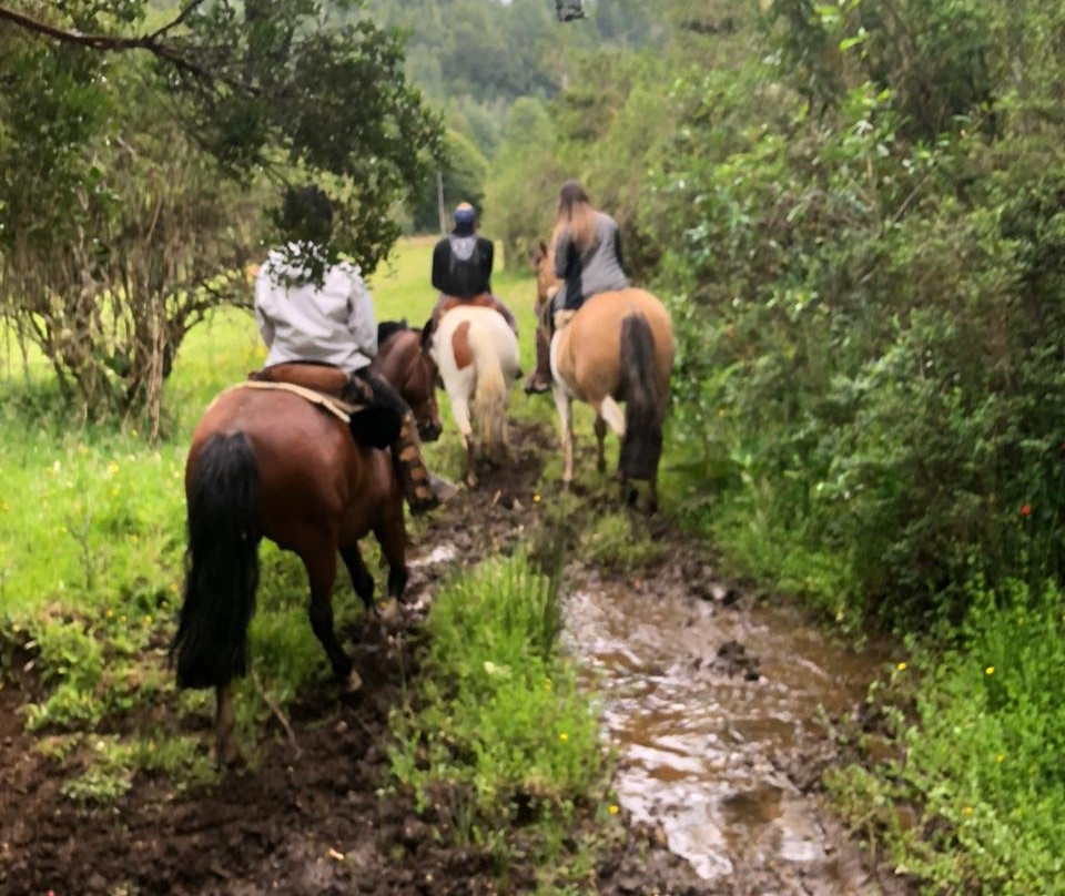 Ecoturismo la Pancha-Puerto Aisen必去景点