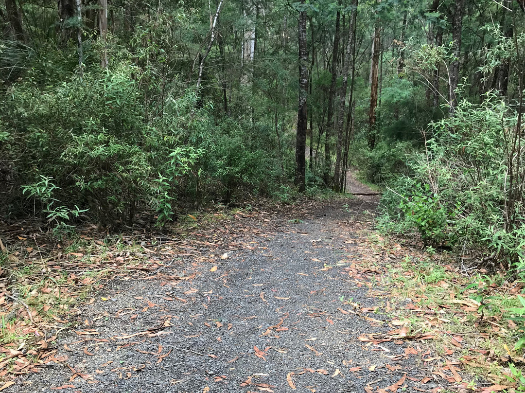 Jindivick旅游攻略图片