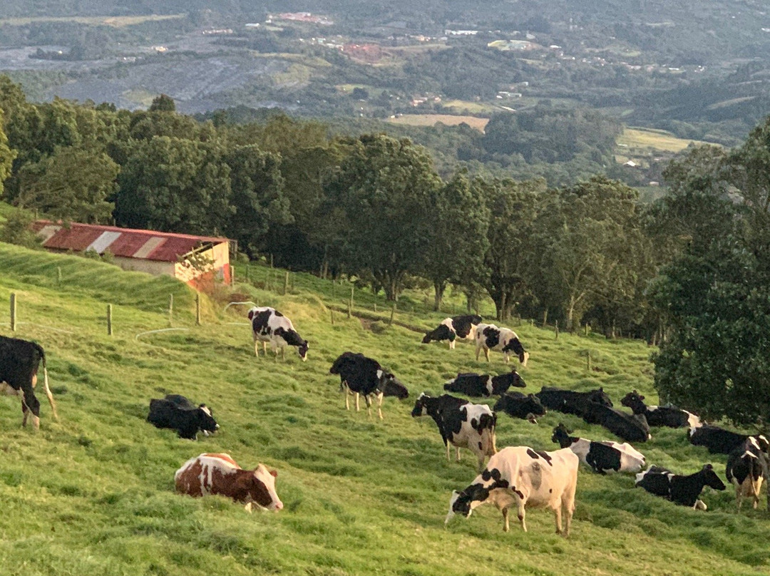波阿斯小屋酒店主图