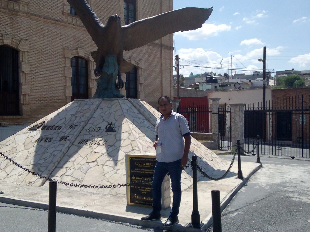 Museo de las Aves-萨尔蒂必去景点