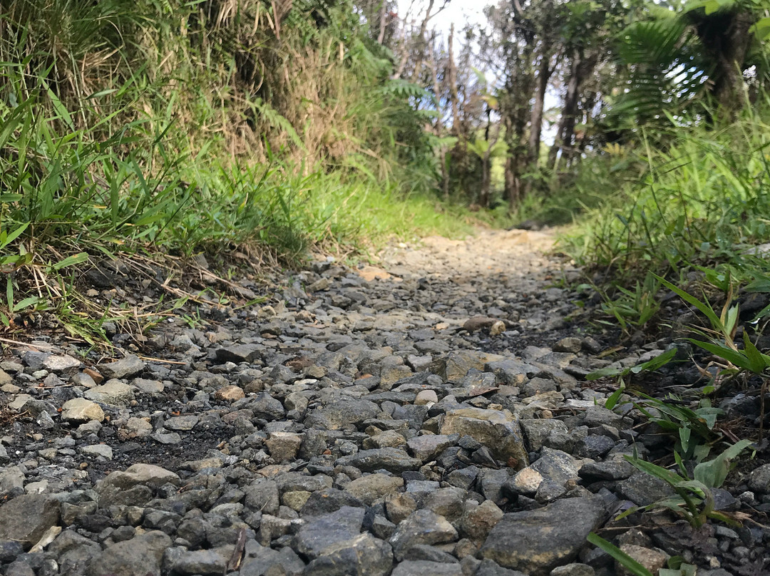 Mount Britton Trail-云盖国家森林公园必去景点