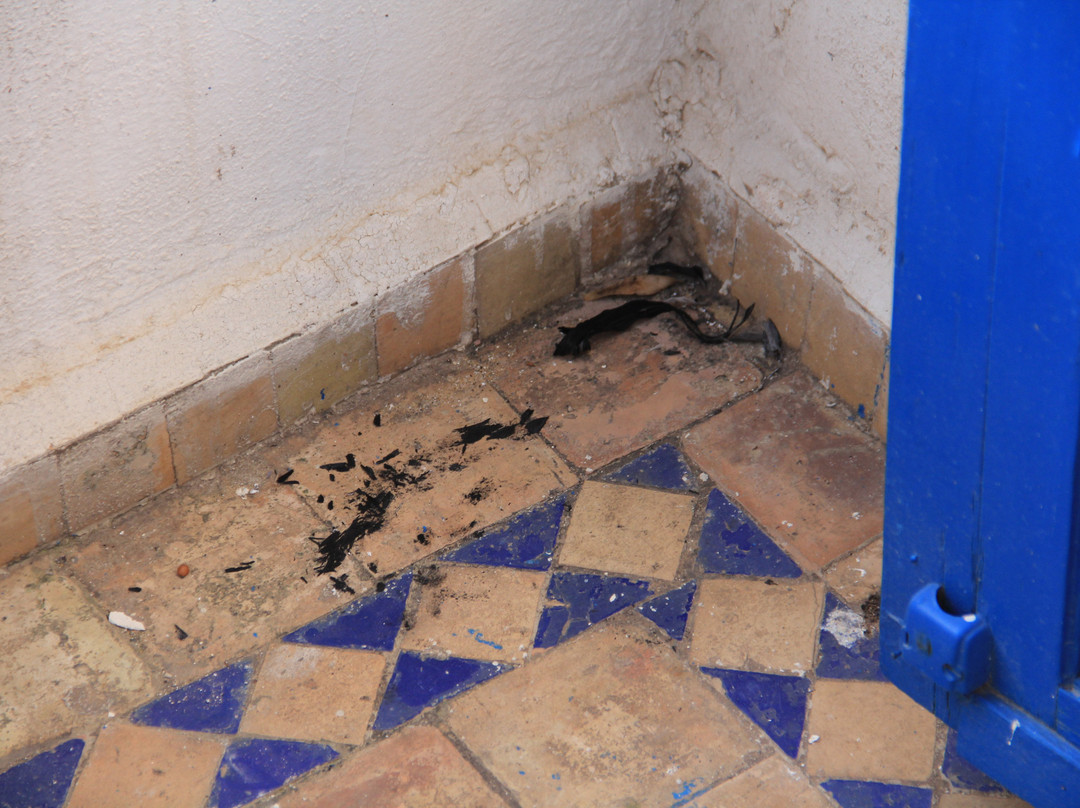 宜必思非斯酒店主图