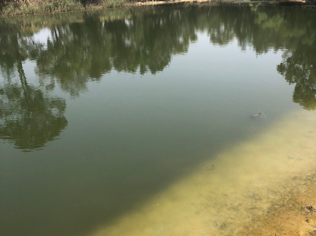 頂級缺口葡萄酒之旅-阿德莱德必去景点