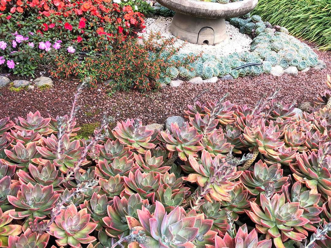 Savegre Hotel Natural Reserve & Spa主图