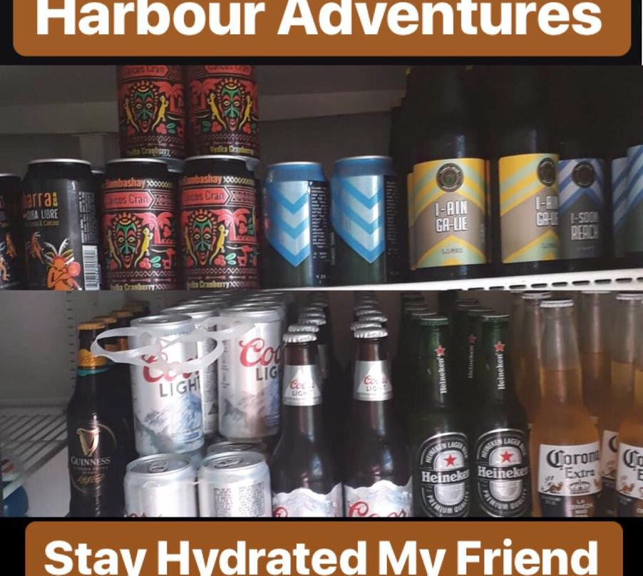 Harbour Adventures-South Caicos必去景点