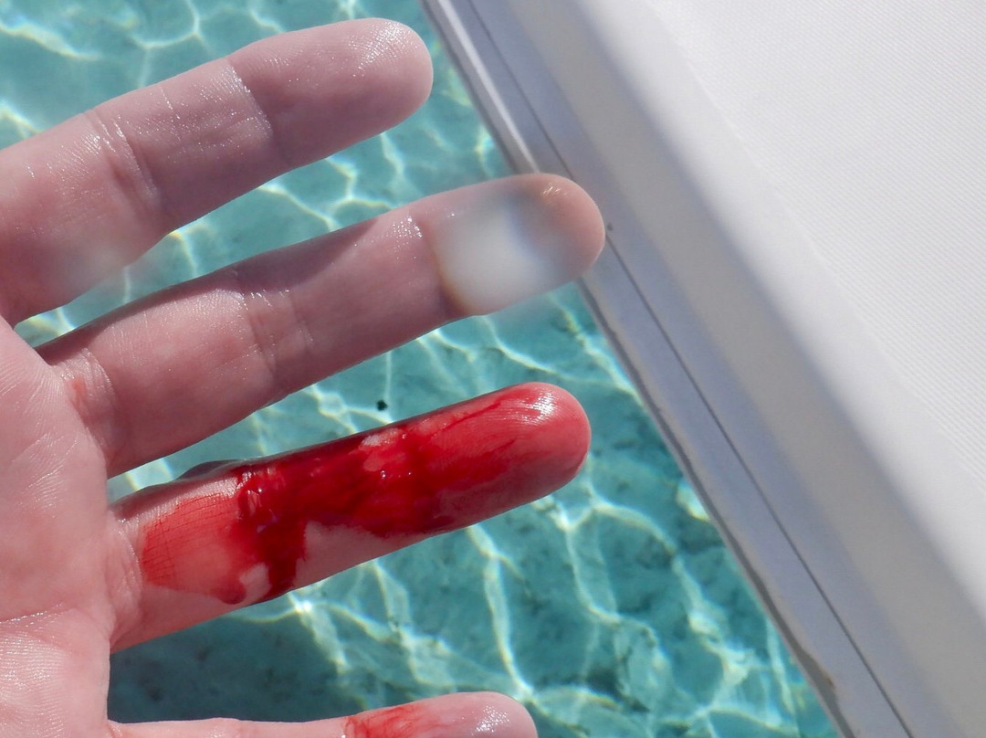 Compass Cay-外围小岛群必去景点