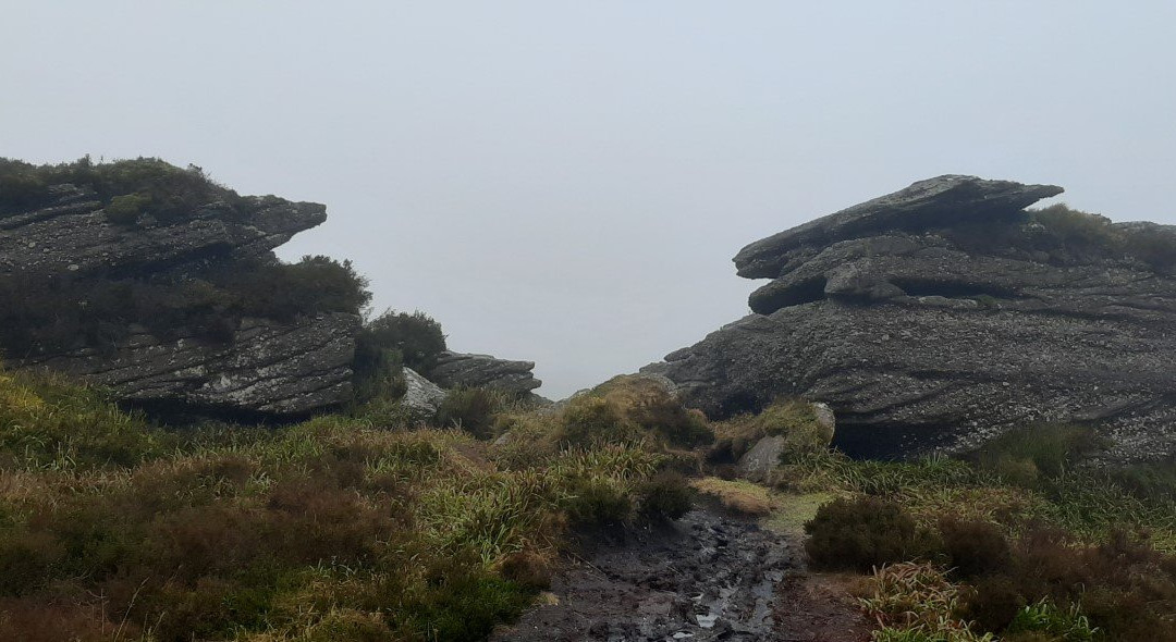 Ballyhoura Walking Trails-利默里克必去景点