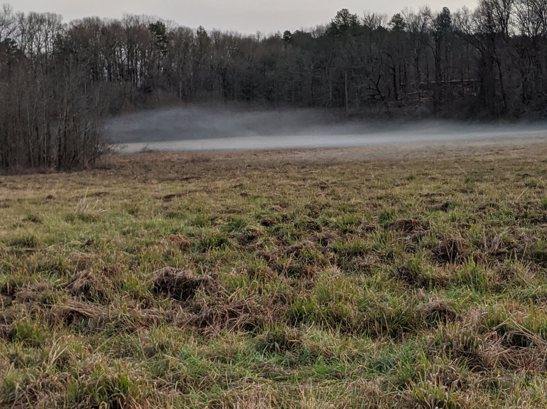 The Farmhouse Inn主图