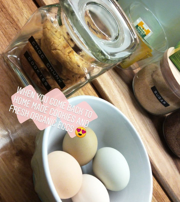 The Stable Lofts主图