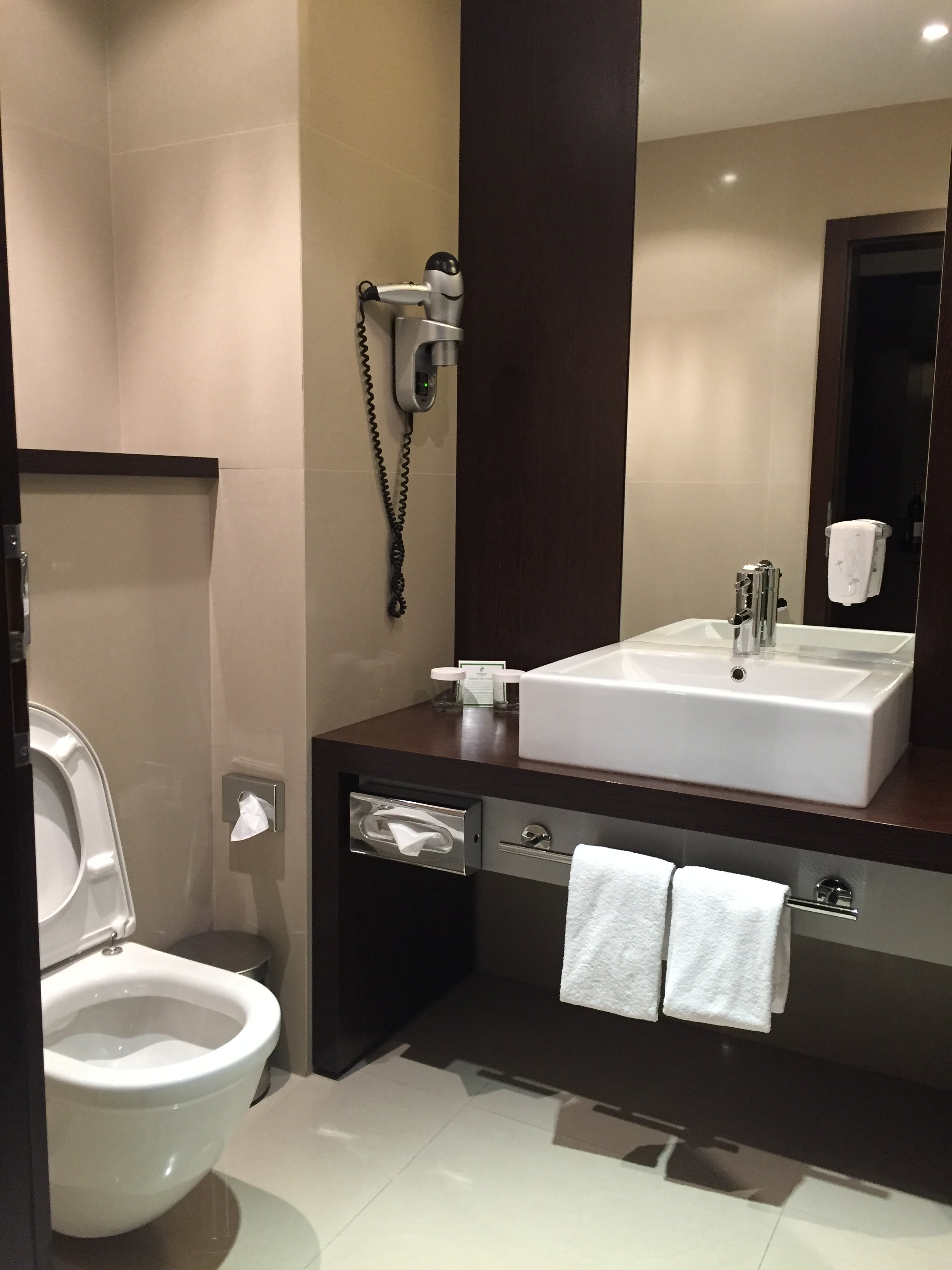 Holiday Inn Zilina By IHG-浴室