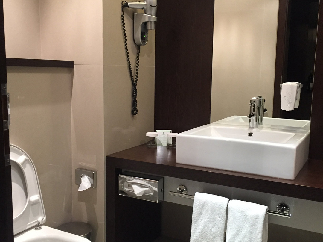 Holiday Inn Zilina By IHG主图