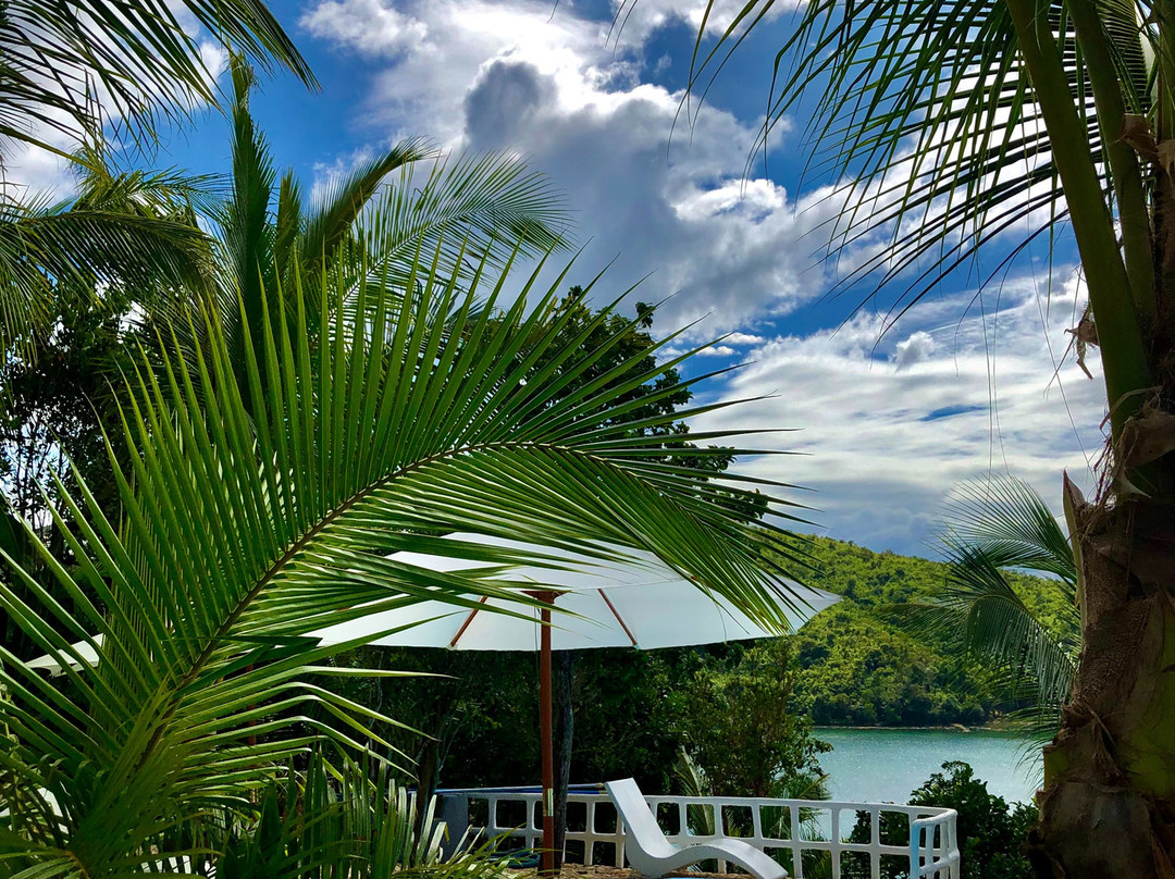 巴拉望阿尔法洛哥斯米奥酒店主图