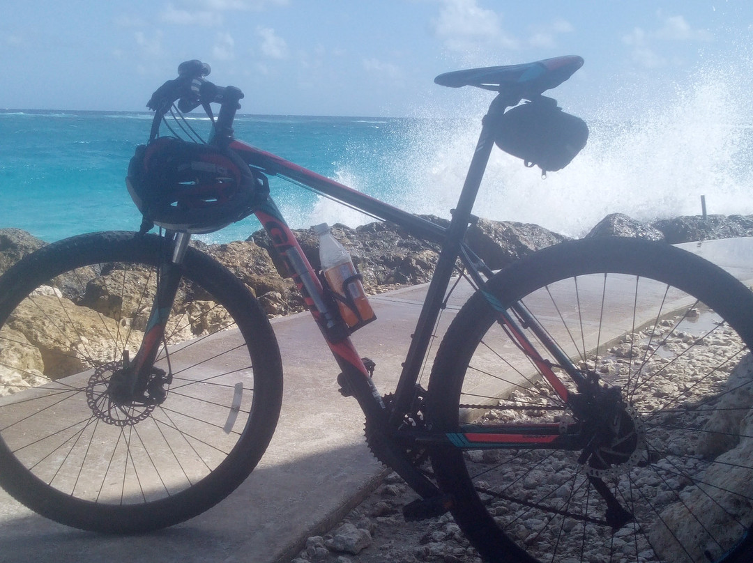 Bike Caribbean-圣罗伦斯峡必去景点