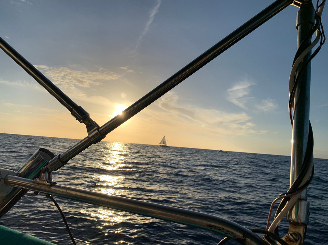 Kona Sail Charters-凯鲁瓦-柯纳必去景点