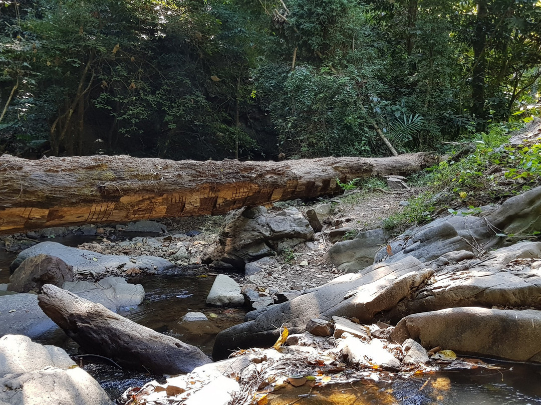 Tat Mok National Park-碧差汶必去景点