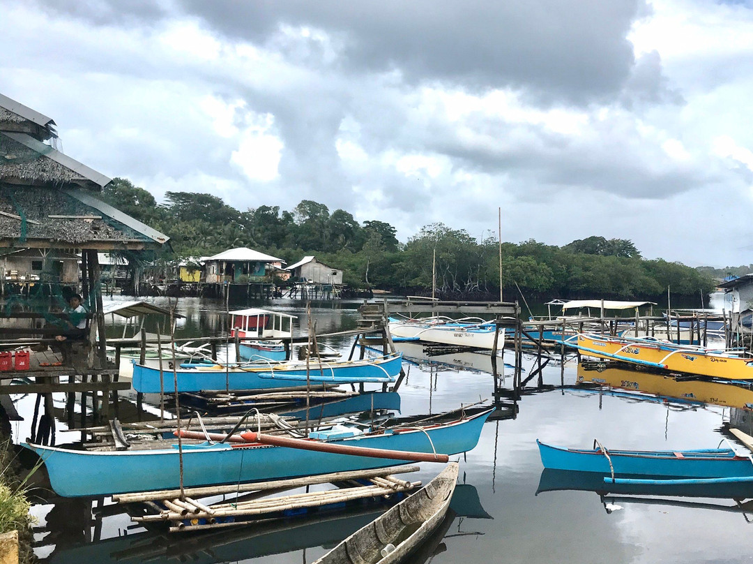 Day-Asan Floating Villages景点图片