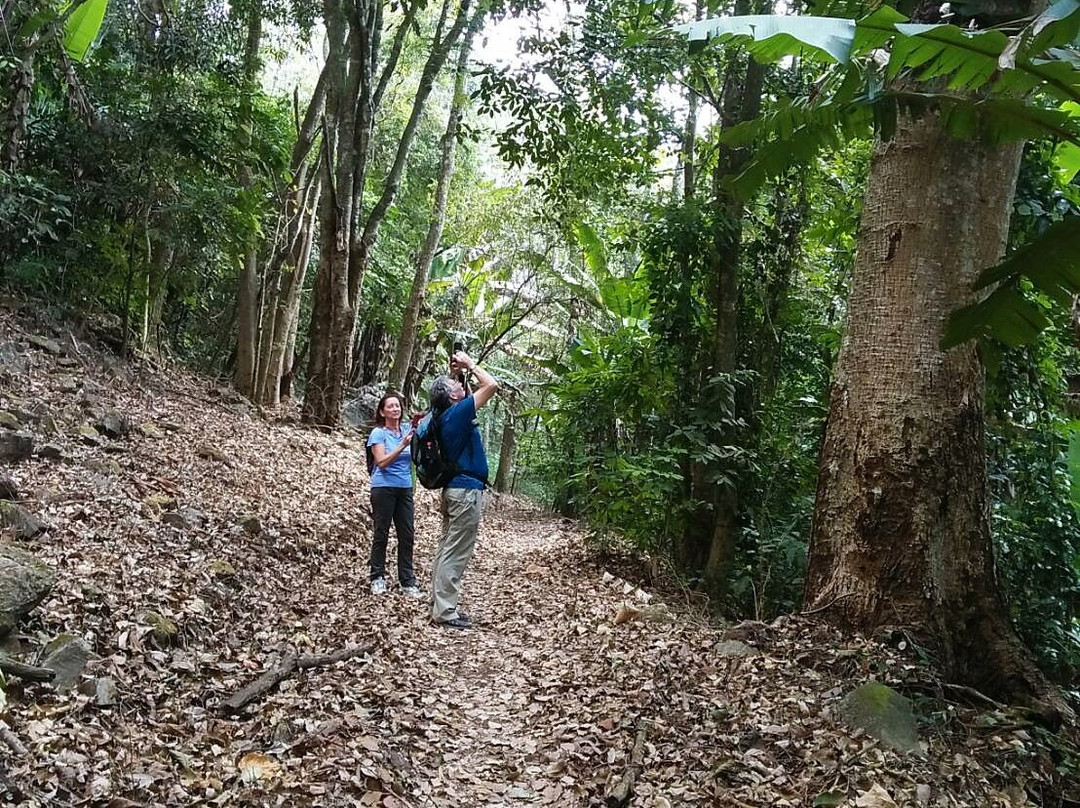 Doi Pui Mong Hill Tribe Village-清迈必去景点