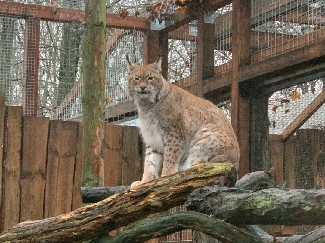 Zoo Adventure Park / Zoo Seikluspark-塔林必去景点