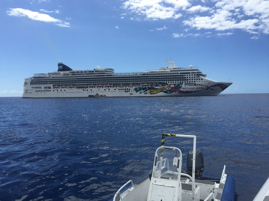 Kona Farmers Market-凯鲁瓦-柯纳必去景点