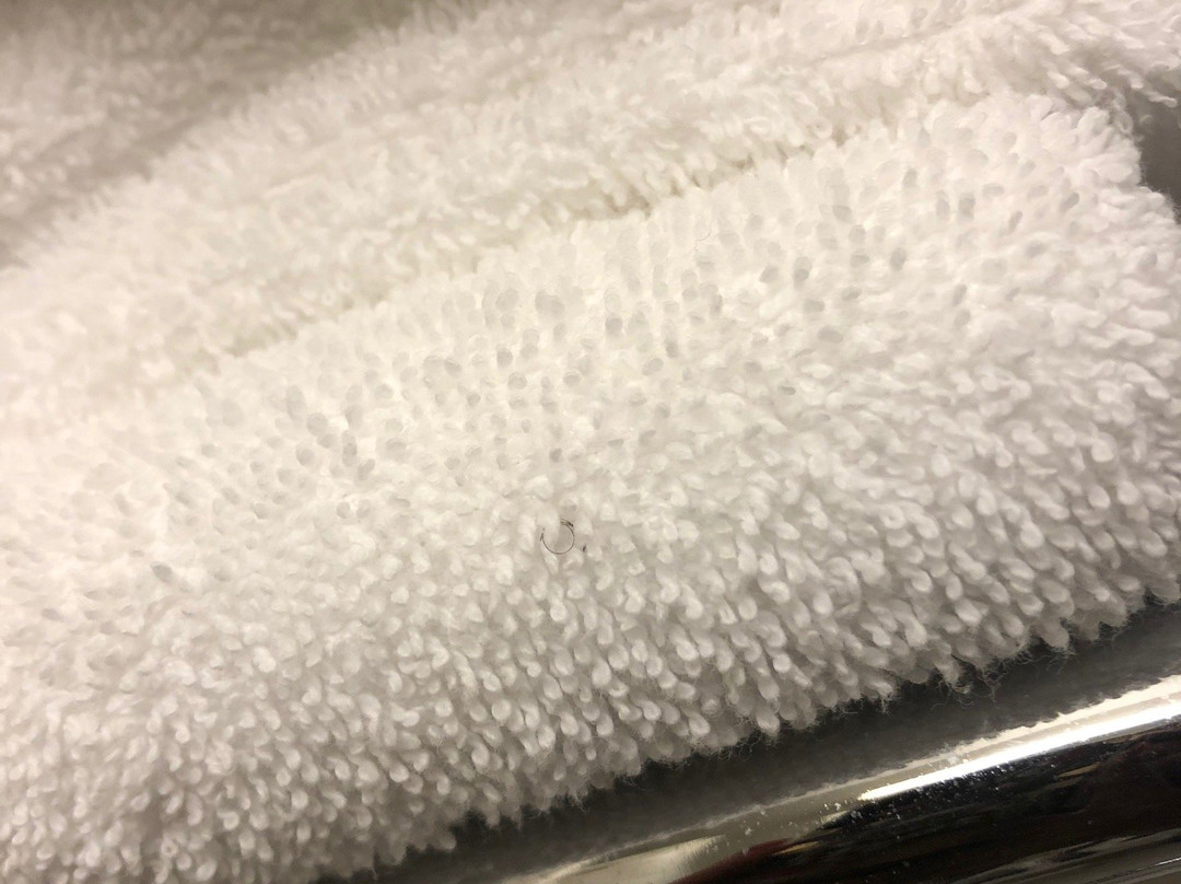 Microtel Inn & Suites by Wyndham Pearl River/Slidell主图