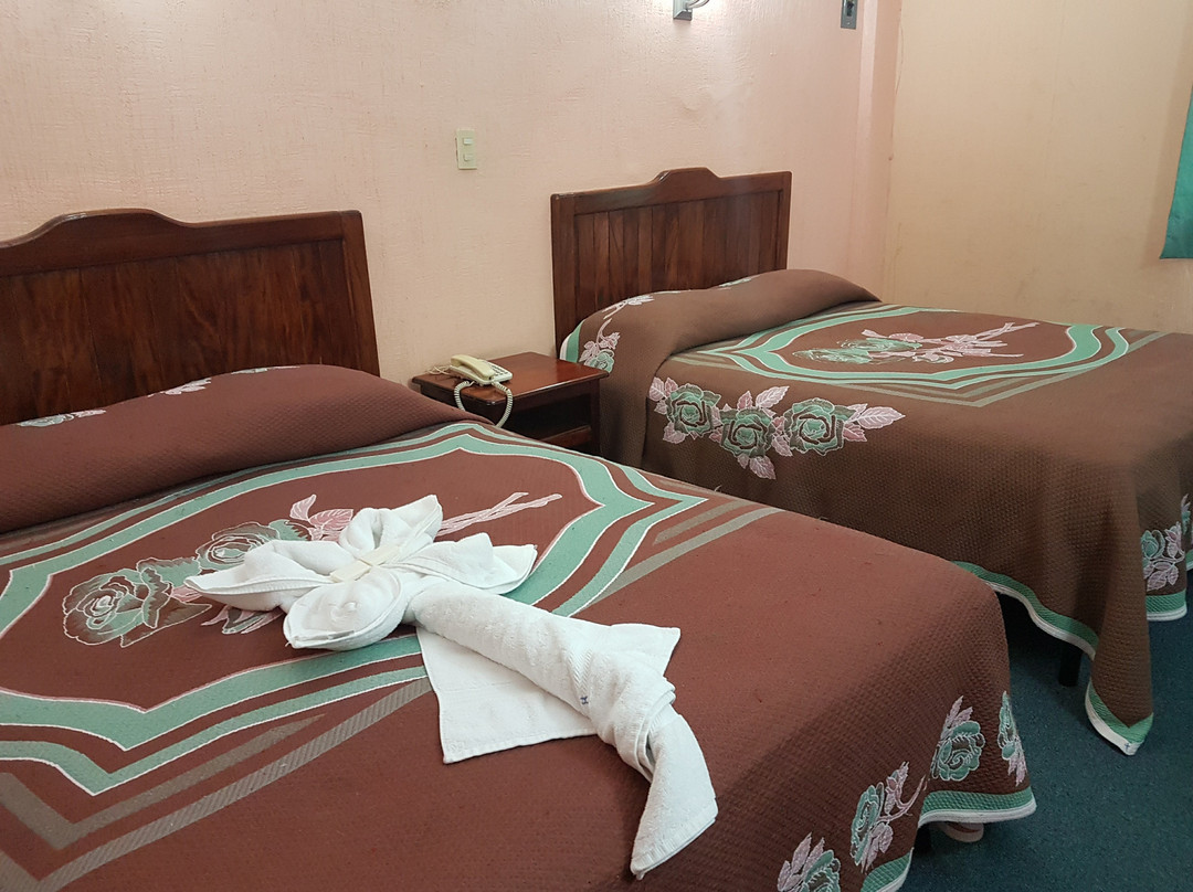 Hotel Tuxtepec主图