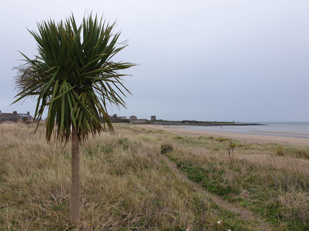 Skerries Tourist Walks-斯克列必去景点