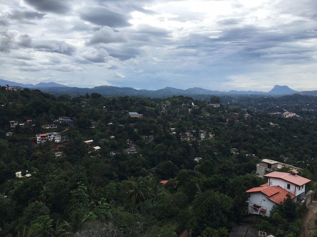 Pure Nature Hotel Kandy主图