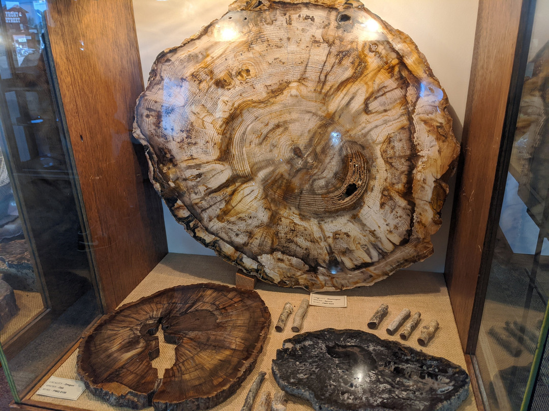 Petrified Wood Gallery-Ogallala必去景点