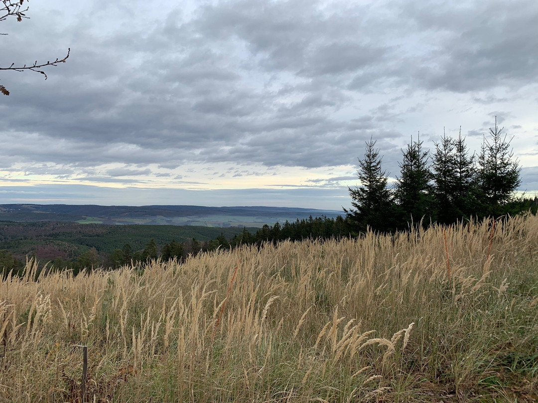 Naturpark Landseer Berge-Oberpullendorf必去景点