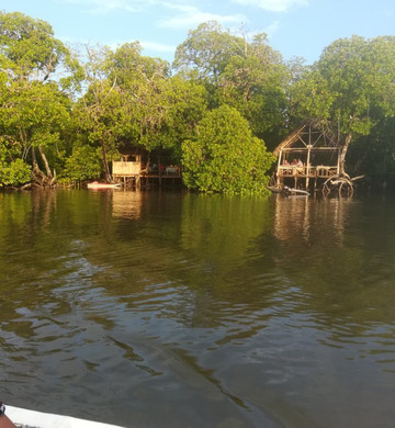 Vera Africa Tours And Safaris-瓦塔木必去景点