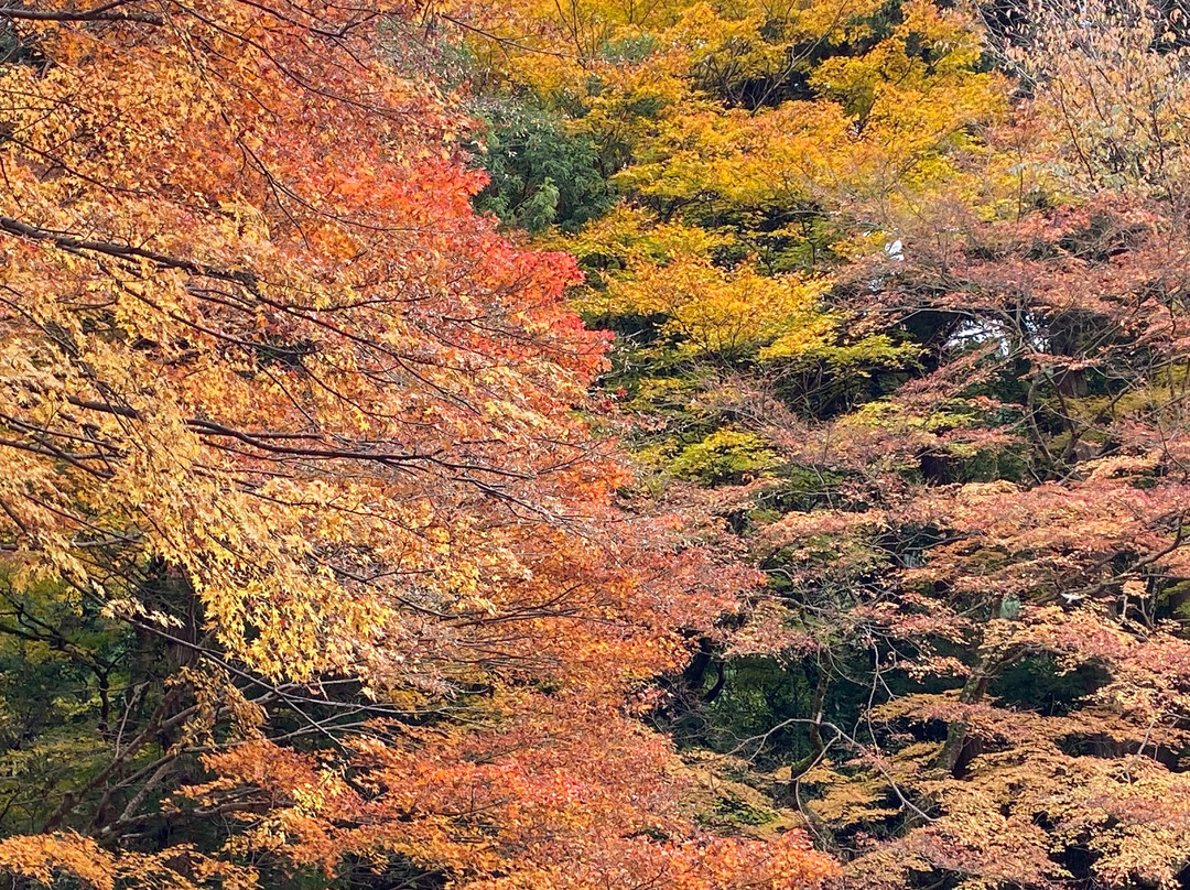 Yomeiji-津和野町必去景点