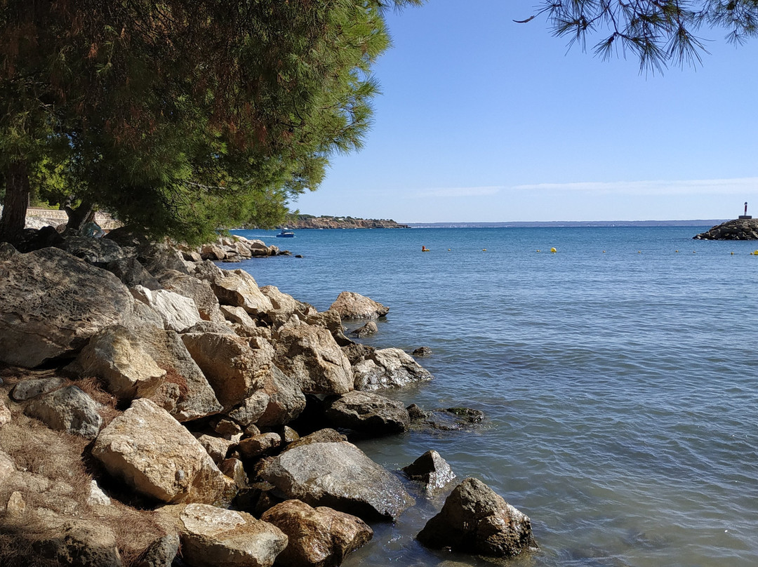 Playa de Cala Mayor景点图片