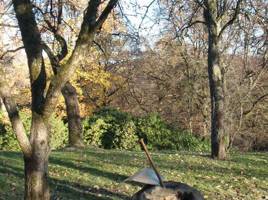 Vorwerkpark景点图片