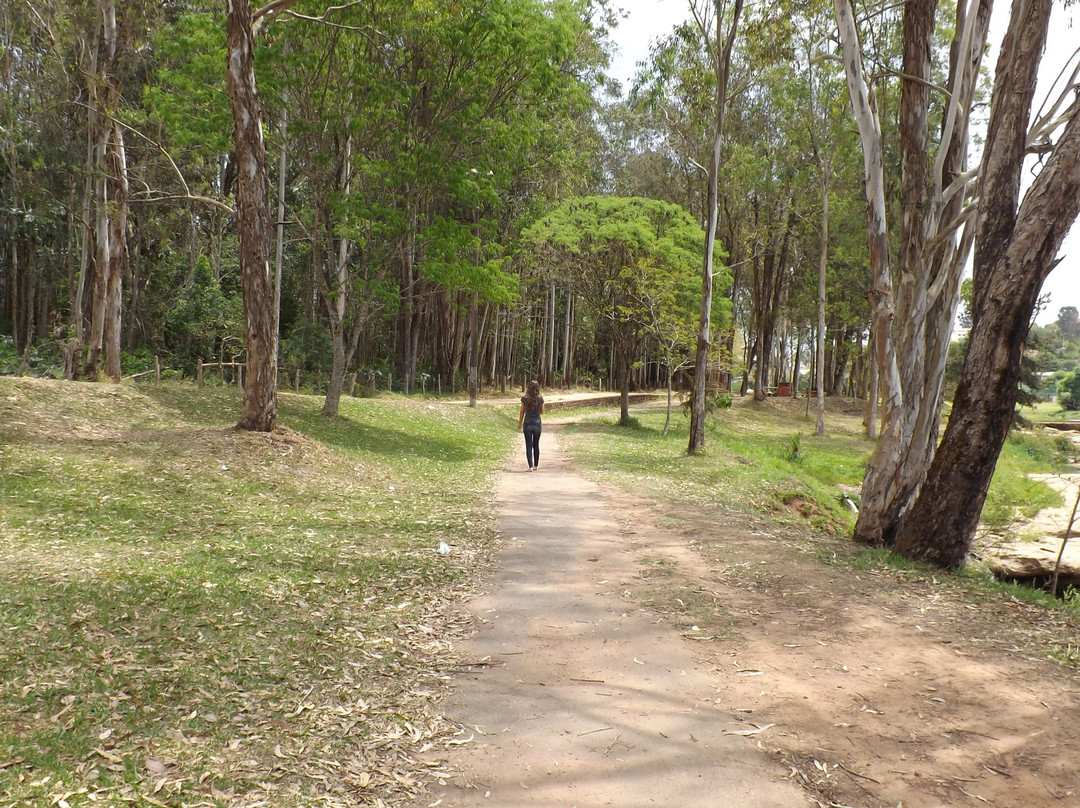 Parque Estadual do Cerrado景点图片