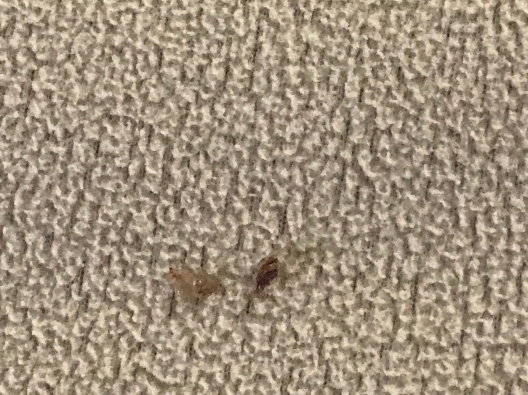 Travelodge by Wyndham Green River主图