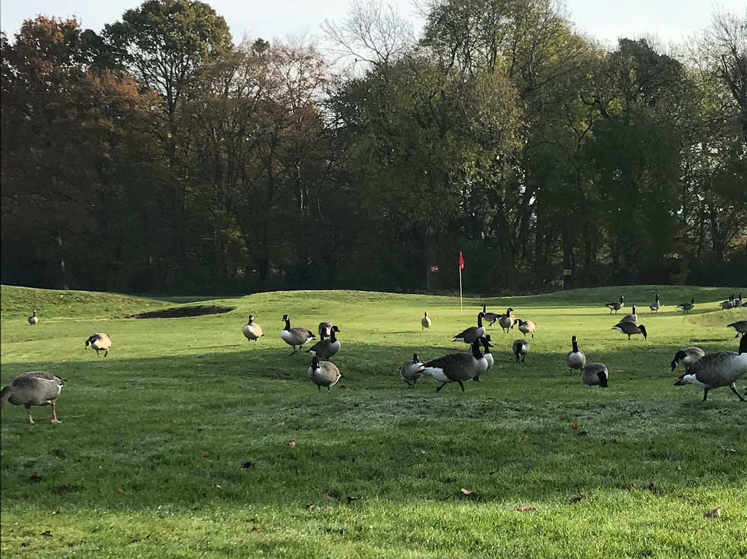 里奇蒙德高尔夫球场-伦敦必去景点