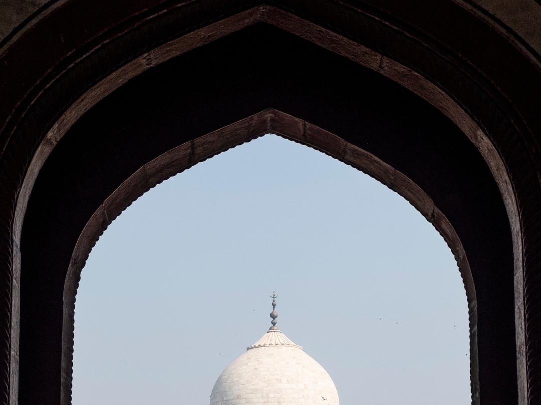Seven Wonder Tours (Taj Day Tours)-阿格拉必去景点