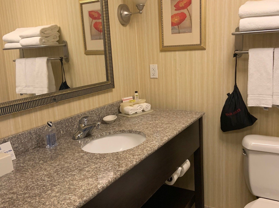 洛迪快捷假日酒店主图