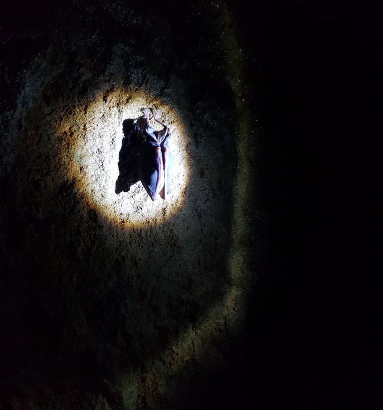 Aranybanya Hotel主图