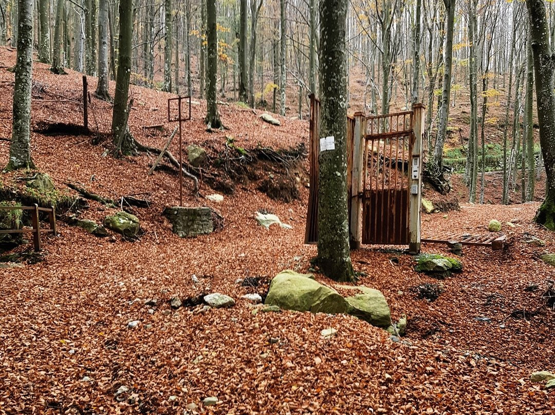 Colonia Antonio Devoto-Mezzanego必去景点