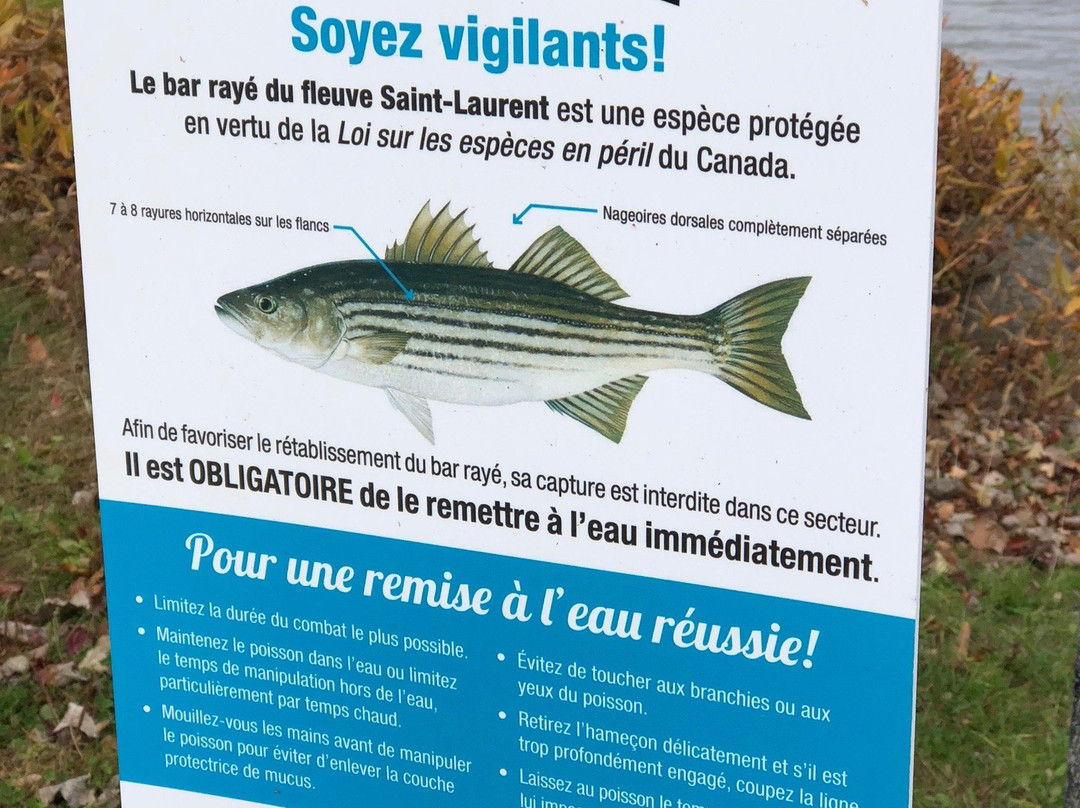 Parc Jack Layton-Hudson必去景点