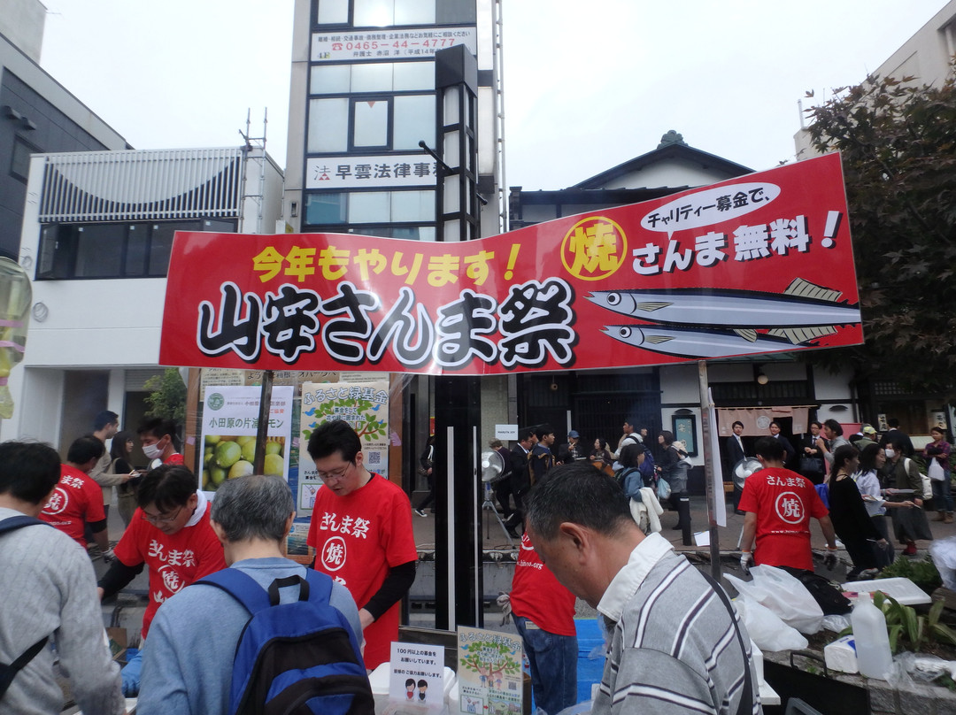 Himono Yamayasu, Odawara-ekimae-小田原市必去景点