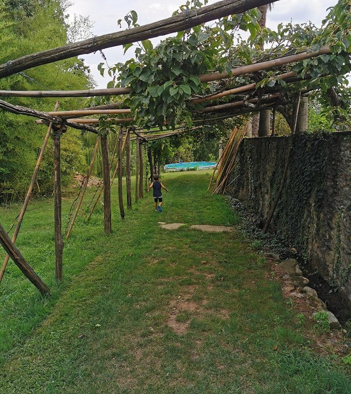 Casa Lajolo景点图片