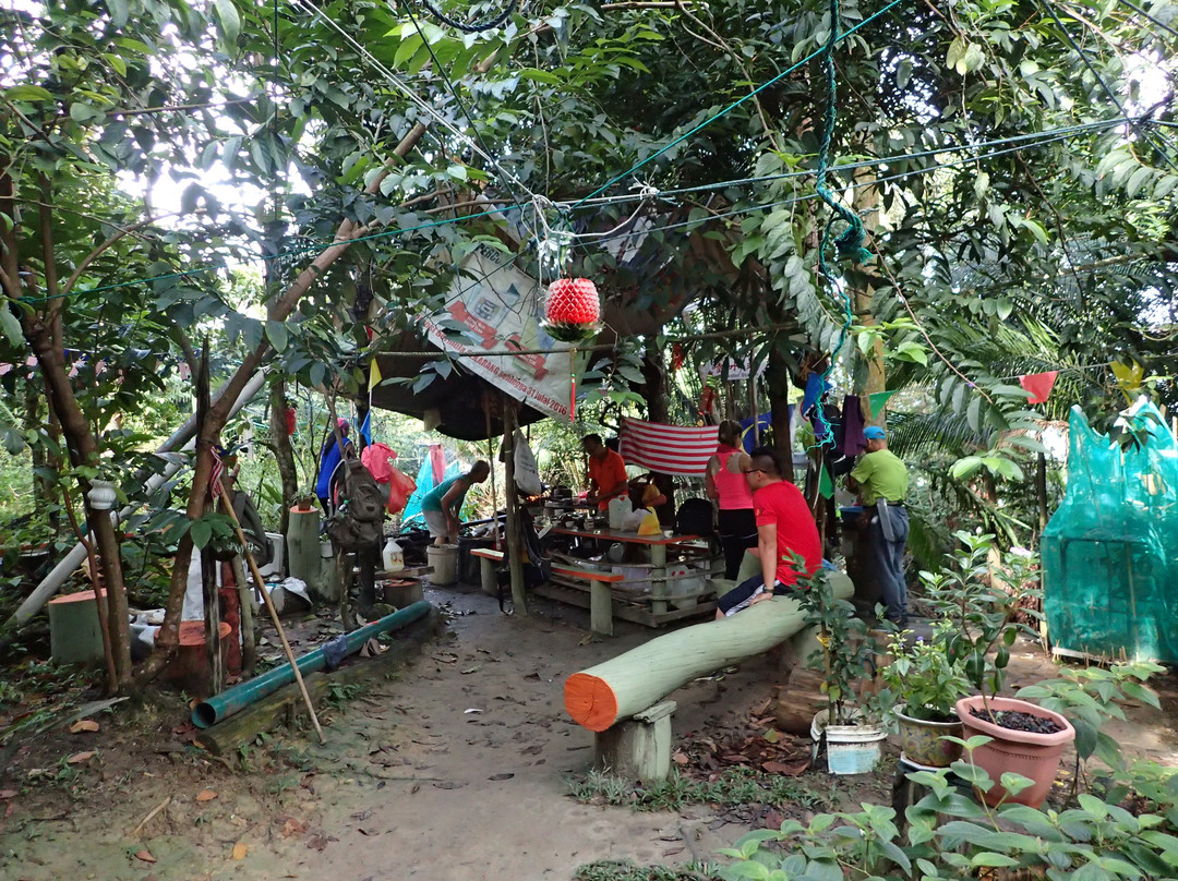 Saga Hill Trial-安邦必去景点