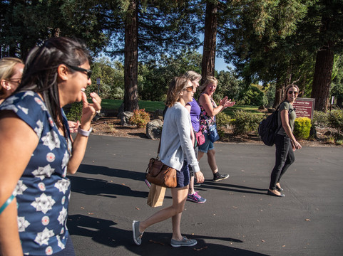 Paper Napan Walkabouts-纳帕必去景点