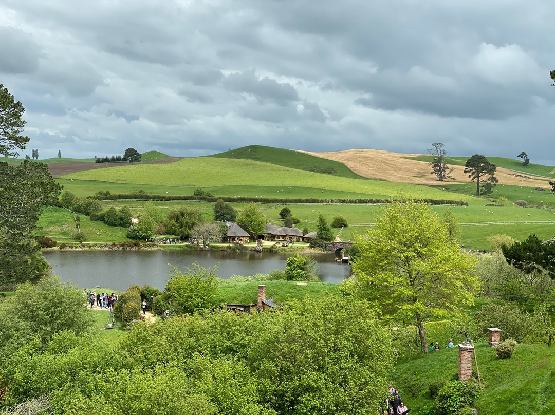 Carrington Tours & Transfers-汉密尔顿必去景点
