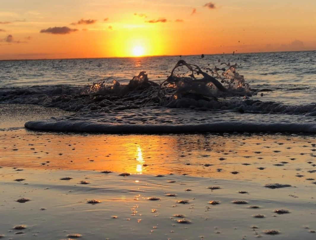 Trans-Palm T.C.I Limited-普罗维登西亚莱斯必去景点