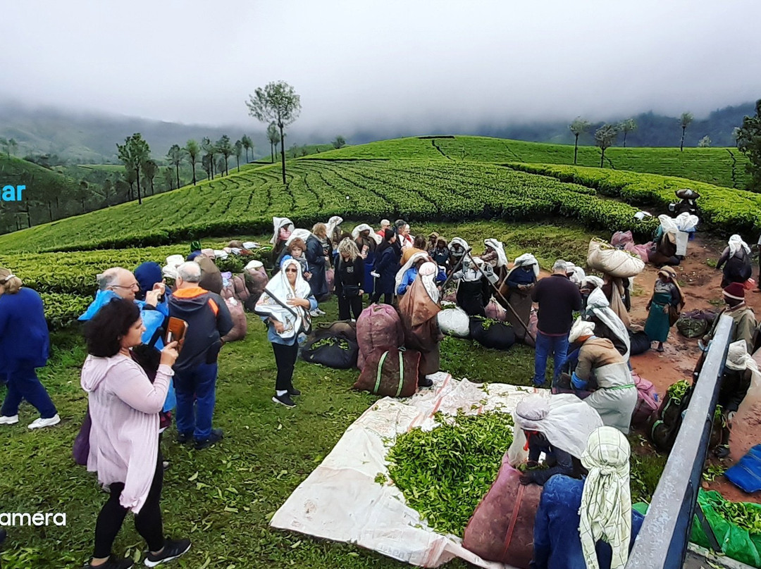 D Trek Munnar Adventure景点图片